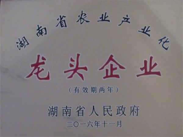 2016龙头企业